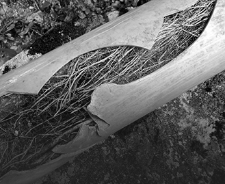 Blocked Drains Coburg